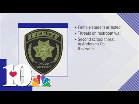 ACSO: Girl taken into custody for threats of violence at Anderson County High School