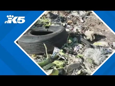 Justice Department reaches deal to allow Boeing to avoid prosecution over 737 Max crashes