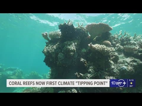 Report warns Earth hit its first 'tipping point,' due to widespread collapse of coral reefs