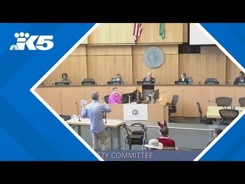 Tensions high at Seattle City Council meeting over SOAP, SODA zone proposals