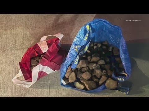 Deputies believe a TikTok trend motivated this crime