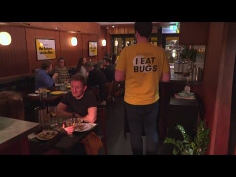 Bug-based restaurant opens in London