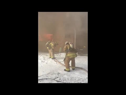 Dogs saved from apartment fire