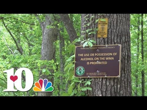 Alcohol banned in TWRA wildlife management areas to prevent crashes