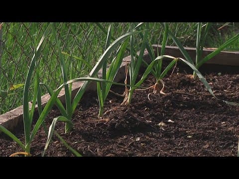 Interested in composting? Here's how you can get started