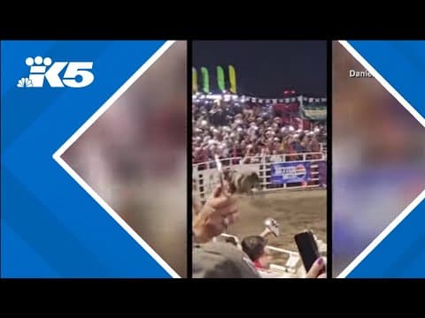 Rodeo bull hops fence at Oregon arena, injures 3 before being captured