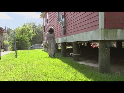 Beekeeper helps 80-year-old Hitchcock woman reclaim her home from massive bee colony