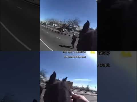 Shoplifter chased by police on horses in New Mexico, video shows