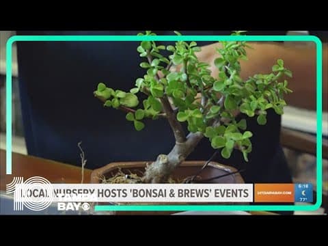 Bonsai & Brews events at local nursery