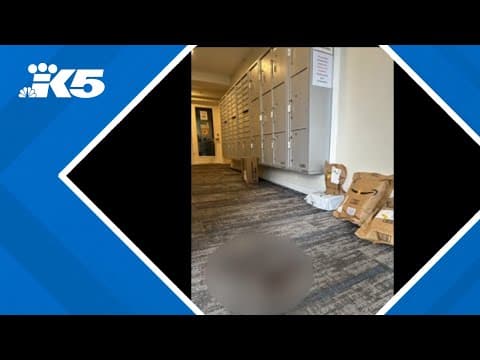 USPS carrier shot in Everett