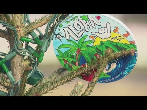 National Christmas Tree Lighting Preparations | The Heart of It