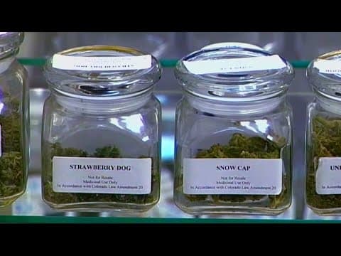 First round of recreational cannabis business license applications open in Maryland