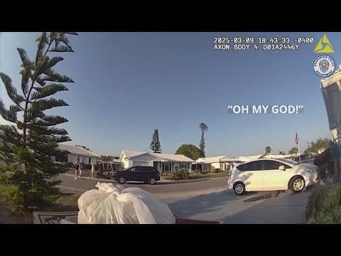 Bradenton Police officer had to finish pizza delivery after alligator camped out in driveway