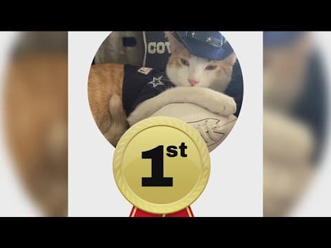 And we have a winner! March Meowness photo contest winner is crowned