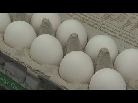 Egg prices surge in October due to avian flu