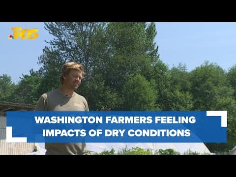 Some Washington farmers already feeling impacts of dry conditions