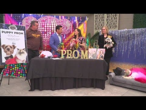 11th annual Helen Woodward Animal Center Puppy Prom and Kitty Court | May 18