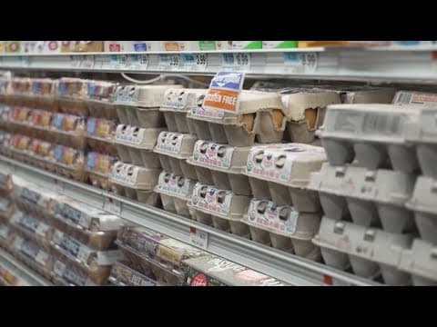 Experts explain wide range of egg prices