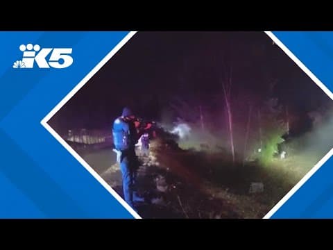 Pierce County deputies arrest hammer-wielding suspect