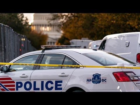 WATCH: Capitol Police arrest man with torch, flare gun attempting to enter visitor's center