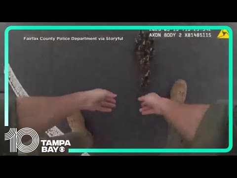 Virginia police stop traffic to help ducklings cross roadway