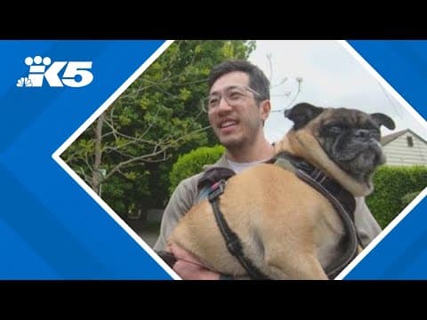 Georgetown pet owners relieved after arrest in 2023 animal cruelty case