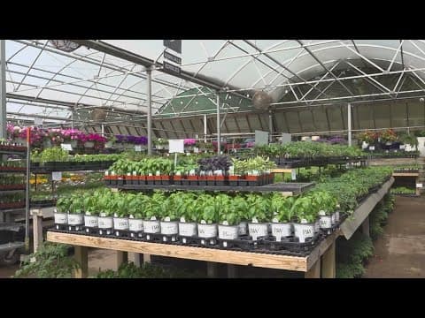Garden Smart: Spring planting
