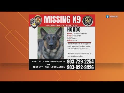 Palestine police ask for help in search for missing K9