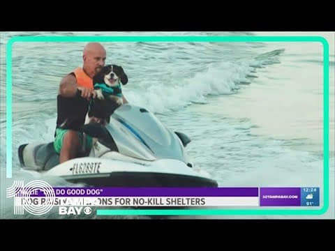 Jet ski riding dog raising money for no-kill shelters