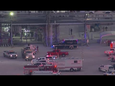 Deer Park PEMEX chemical leak: 2 workers dead, dozens hurt