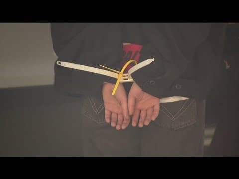 UCSD Protests | What are the legal consequences