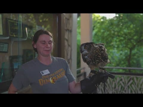 Dallas Zoo announces adjusted hours for hot summer months