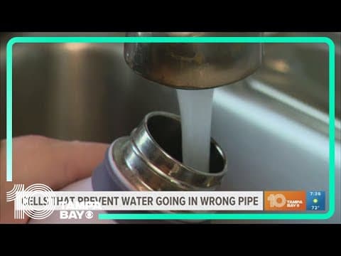 Cells that prevent water from going down the wrong pipe