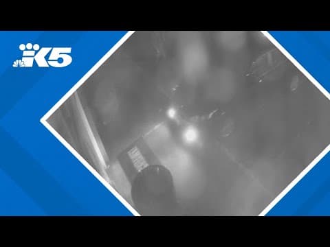 Police: Teens steal vehicle in Elma before attempted burglary of gun store