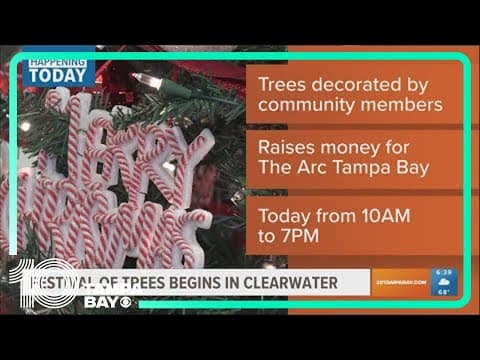 Happening Today: Sleep Out for youth homelessness, Clearwater's Festival of Trees,