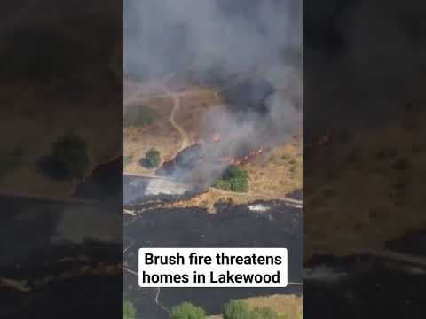 Lakewood homes threatened by brush fire
