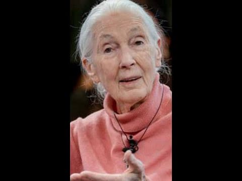 Dr. Jane Goodall, chimpanzee researcher and climate activist, dies at 91