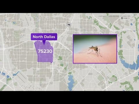 First West Nile Virus death reported in Dallas County this year