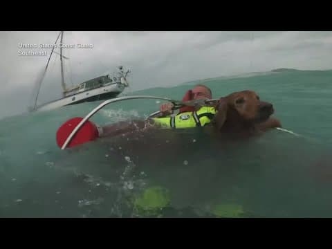 United States Coast Guard saves man and dog after they drifted off the coast of Florida