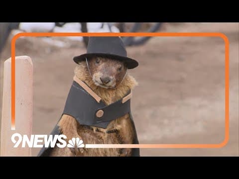 Flatiron Freddy makes his 2024 Groundhog Day prediction in Boulder