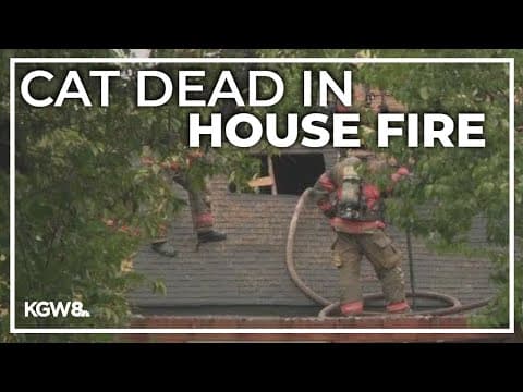 Woman, dog rescued from house fire in Southeast Portland