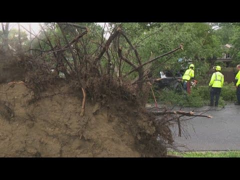 High school student rescues family from downed tree in Bowie