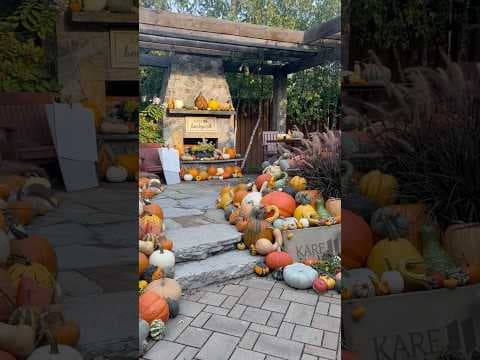 Oh my gourd! Have you seen the KARE 11 backyard’s fall decorations?