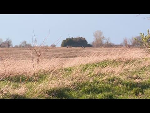 1 dead in Tippecanoe County plane crash