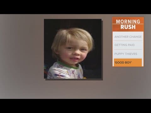 Dog finds a 2-year-old in the Arizona wilderness