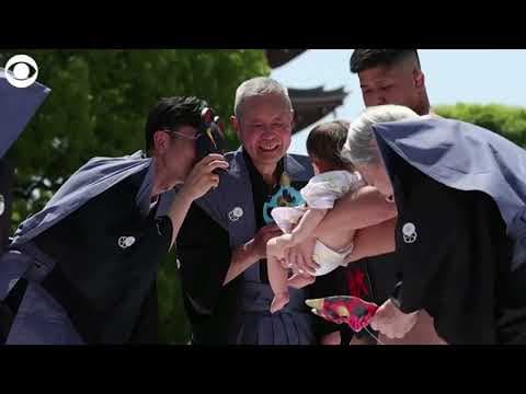 Around 100 babies compete in Crying Sumo event in Japan
