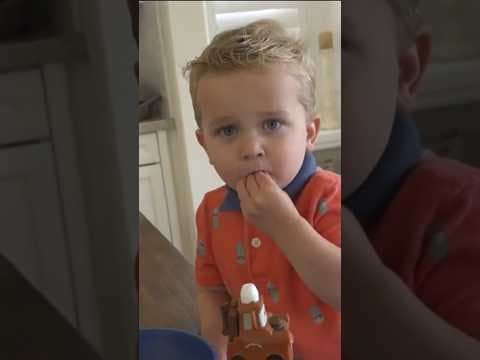 This 2-year-old survived a near death experience after a rattlesnake bite #news #snakes