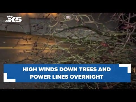 Powerful wind gusts took down trees and damaged power lines overnight