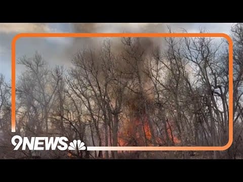 Aurora vegetation fire burns 2 arces