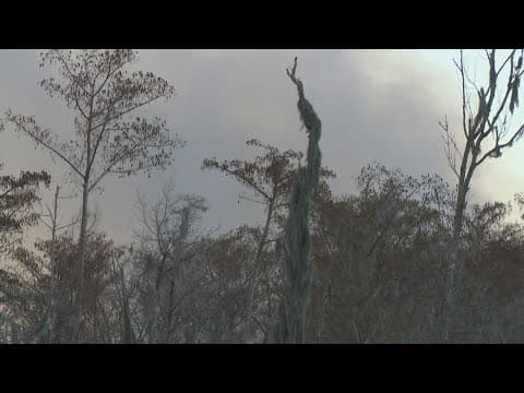 Large marsh fire burning in St. Charles Parish, super fog possible overnight